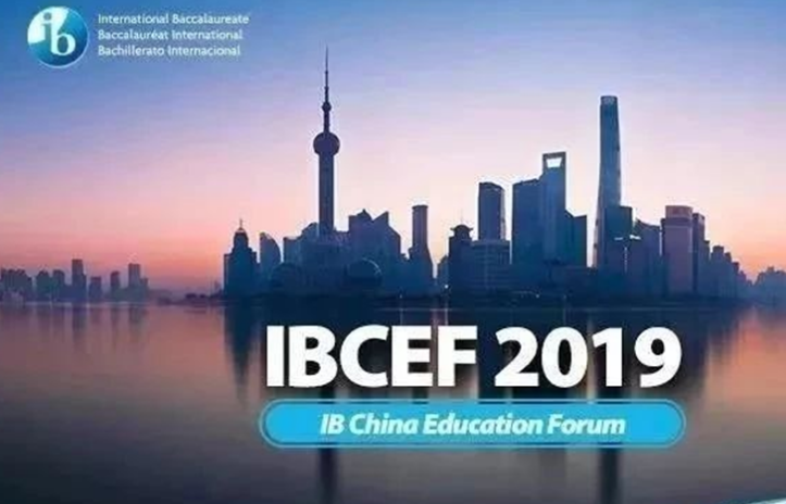IB先锋的反思